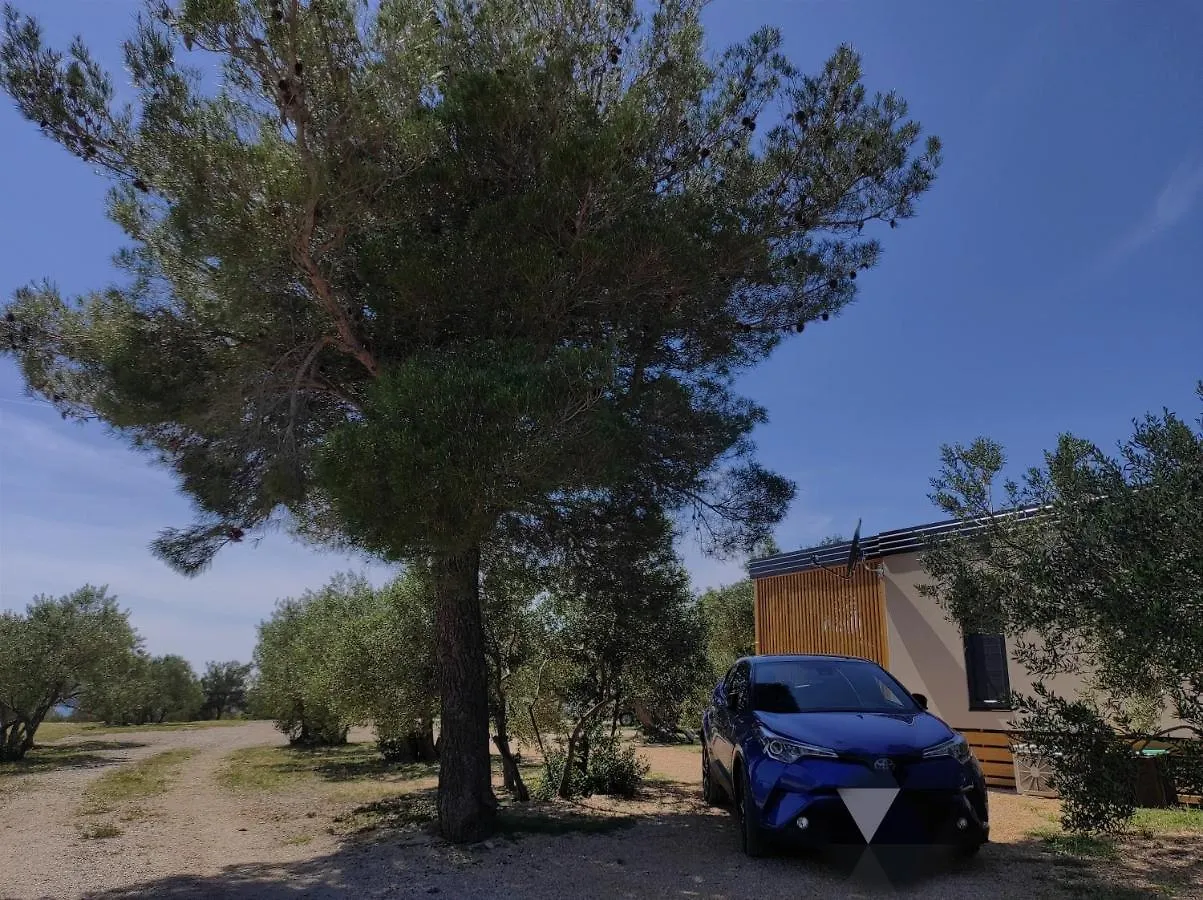 Kemp Zen Zone Premium Mobile Home Drage